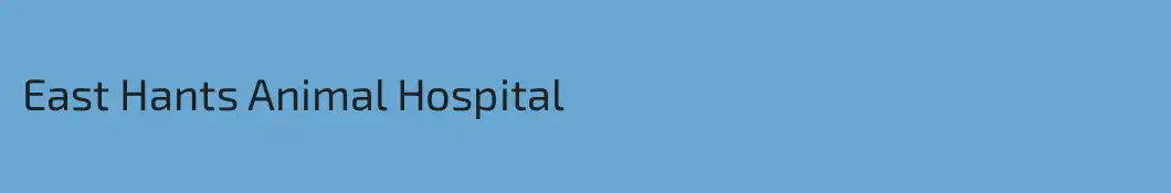 East Hants Animal Hospital